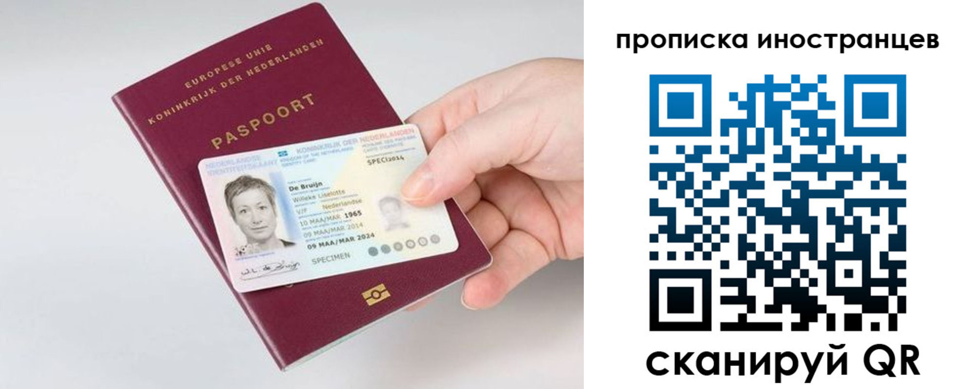 прописка штамп в Светогорске